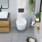Abattant WC ovale en duroplast blanc avec frein de chute ALMA