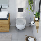 Abattant WC ovale en duroplast gris avec frein de chute ALMA