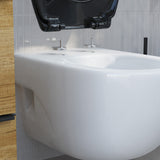 Abattant WC ovale en duroplast noir avec frein de chute ALMA