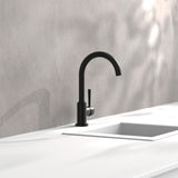 Robinet cuisine Schütte CORNWALL noir