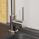 Robinet cuisine douchette inox Eisl LEON