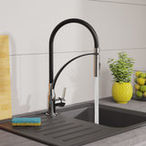 Robinet Douchette Noir / Chromé Eisl CARNEO