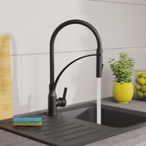 Robinet Douchette Noir mat Eisl CARNEO