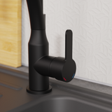 Robinet Douchette Noir mat Eisl CARNEO