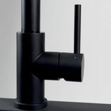 Robinet Douchette Luisina inox massif PVD noir LENA