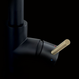 Robinet Douchette Luisina noir et doré LENA