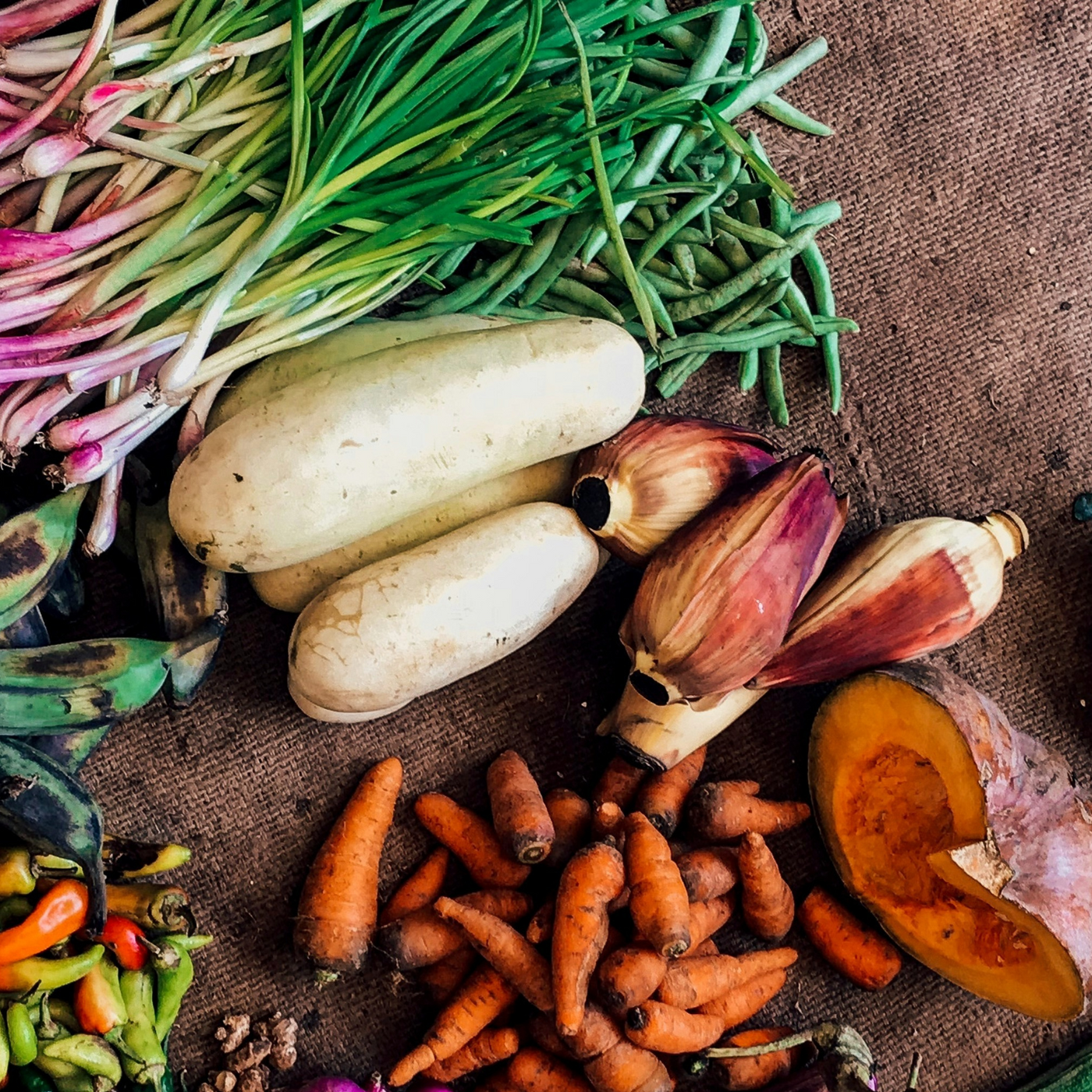 Ma cuisine 0 déchet : Food, rien ne se perd, tout se transforme !
