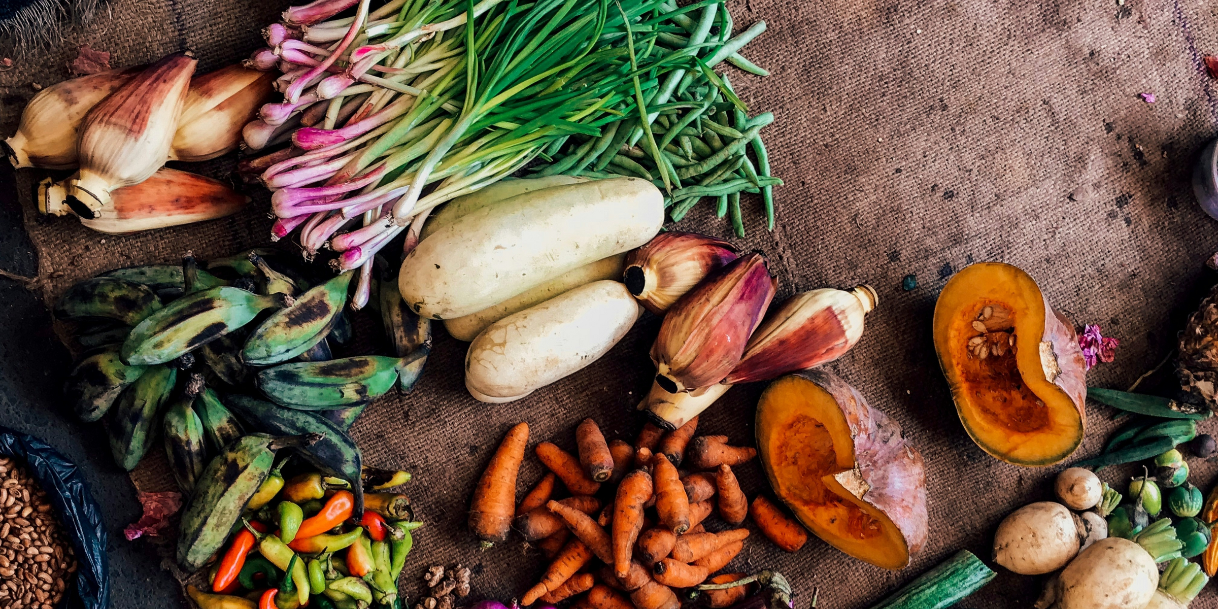 Ma cuisine 0 déchet : Food, rien ne se perd, tout se transforme !