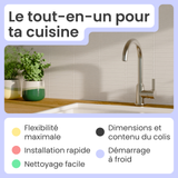Robinet mitigeur cuisine Instmaier LEONA inox