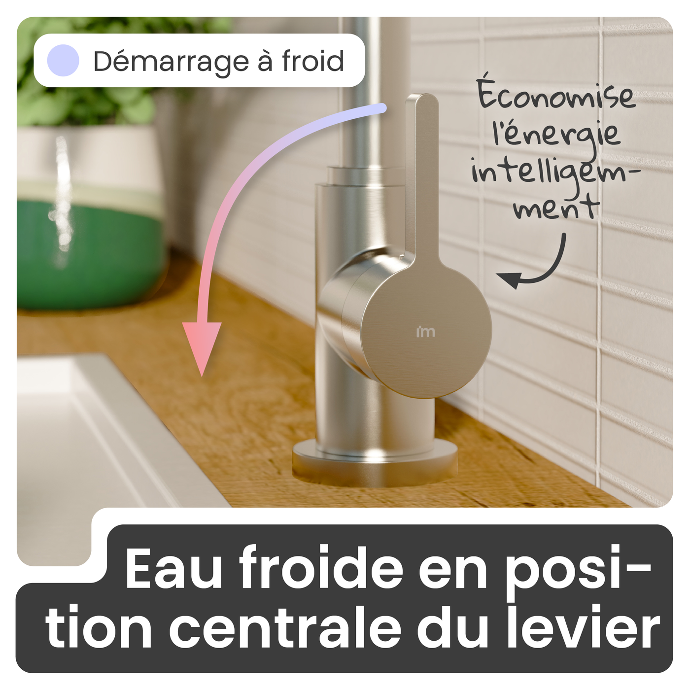 Robinet mitigeur cuisine Instmaier LEONA inox