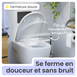 Abattant WC forme en D en duroplast blanc avec frein de chute ALMA