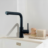 Robinet Douchette Luisina inox massif PVD noir LENA