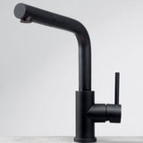 Robinet Douchette Luisina inox massif PVD noir LENA